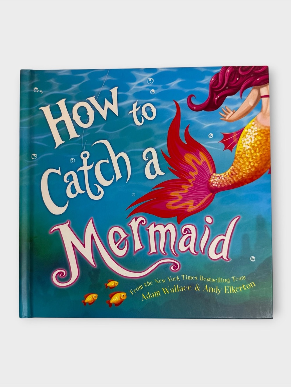 How to Catch: How to Catch a Mermaid Hardcover Illustrated by Adam Wallace
